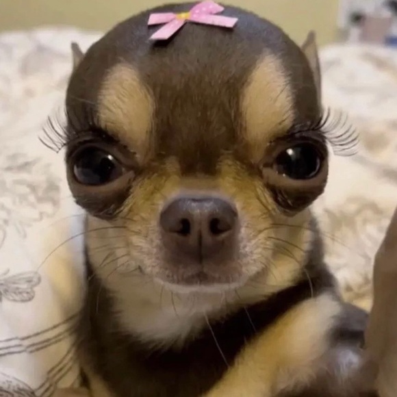 lluvnani